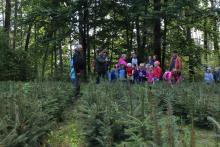 Program edukacji przyrodniczo - leśnej na okres  2016 - 2017