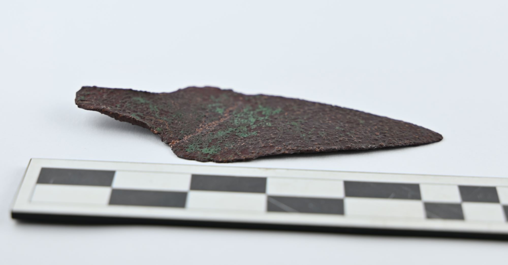 Unikatowy sztylet sprzed ponad 4 tys. lat znaleziony w lesie trafił do muzeum